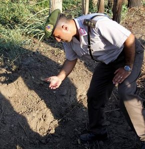 Tarlada patlamamış el bombası bulundu