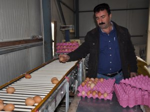 Tuncelili yumurtacıdan kapasite artırımı