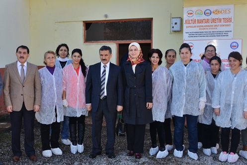 Vali Kaymak, kültür mantarı üretim tesisini inceledi