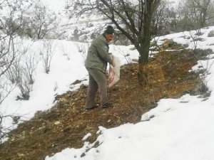 Çemişgezek’te Yaban Hayvanları İçin Doğaya Yem Bırakıldı