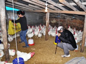 Herşey yuvadaki Çocuklarına kavuşmak için