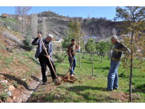 Dersim’e gönderilen 700 fidanın dikimi başladı