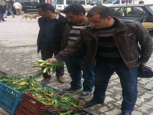 Çemişgezek’te “Gulik” Mevsimi
