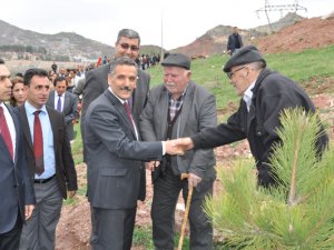 Erdoğan çifti için bereket ormanı oluşturuldu
