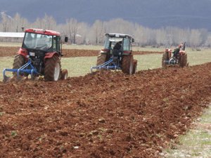 Ovacık belediyesi, organik tarım çalışmasına başladı