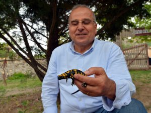 Dersim’de "Lekeli Semender" arandı