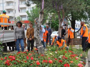 Yeşil Alanlara İki Bin Bitki Dikimi Yapıldı