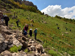 Dersim'in dağları "Ağlayan Gelinler"le süslendi