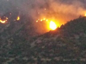 Dersim’deki yangın kontrol altına alındı