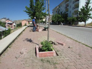 Hozat’ta yeşillendirme çalışmaları sürüyor