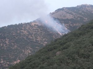 Jandarma karakoluna taciz ateşi