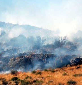 Bodrum için için yanıyor!