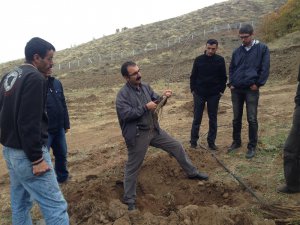 Örnek Teşkil Edecek 2 Adet Kapama Ceviz Bahçesi Kuruldu