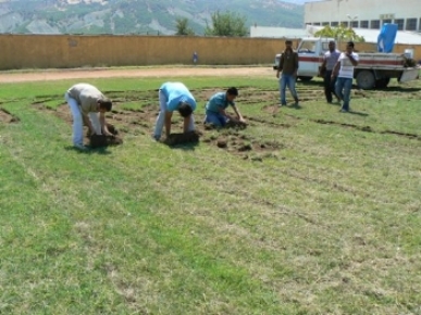 Atatürk Stadının çimleri yenilendi