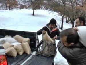 Dersim'de Yaban Hayatı İçin Yem Bırakıldı
