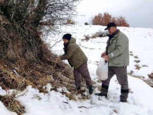 Çemişgezek'te Yaban Hayvanları İçin Doğaya Yem Bırakıldı