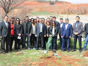 Vali Kaymak,  fidan dikim törenine katıldı