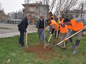 Yeşillendirme Çalışmaları Devam Ediyor