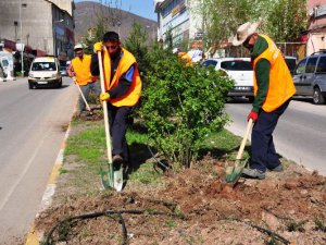 Park ve Refüjlerde Bakım Çalışmaları