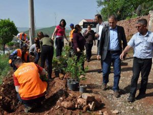 Parklarda Yeşillendirme Çalışmaları