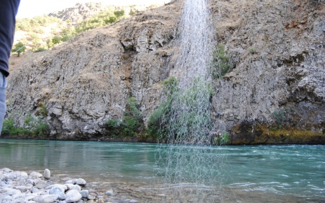 Tırı vırı, balık neslini kurutuyor