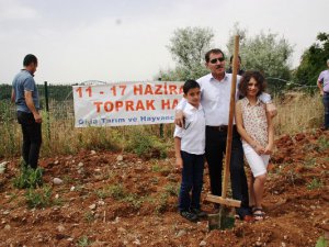 Toprak Bayramında Fidan Dikildi
