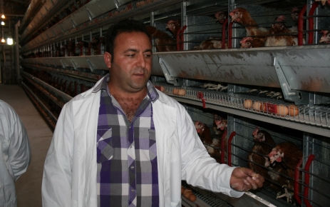 Avrupa’dan Gelip Tavuk Çiftliği Kurdu