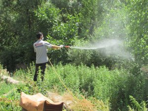 Hozat’ta biyolojik ilaçlama çalışmaları başladı
