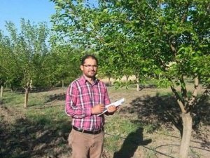Çemişgezek'te organik dut üretimi yaygınlaşıyor