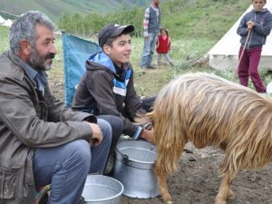 TEOG şampiyonu Mahir, artık Robert'li oldu