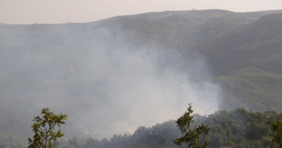 Tunceli'de Orman Yangınları devam ediyor