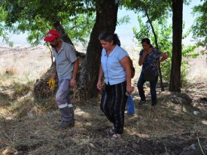 Eşbaşkan Altun, Çalışma Alanlarını İnceledi