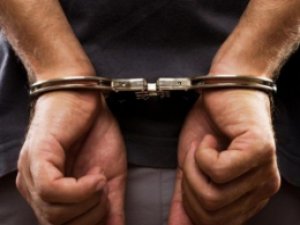 Dersim'de Gözaltına Alınan 1 Kişi tutuklandı