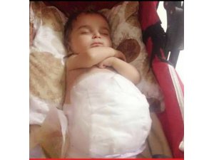 11 AYLIK "ALİM" İÇİN KAMPANYA BAŞLATILDI