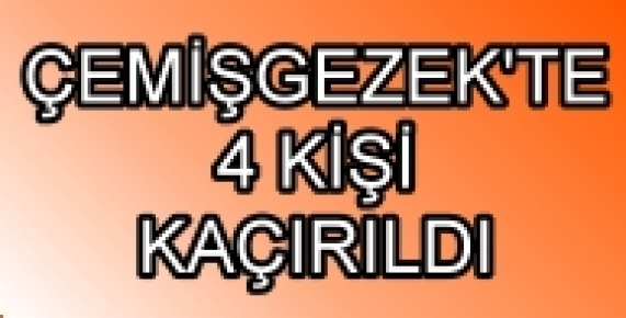 PKK Tunceli'de 4 kişiyi kaçırdı