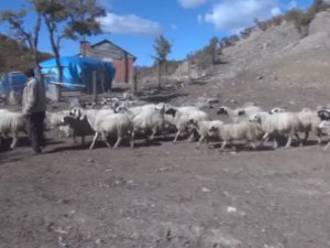 Dersim'de kış hazırlıkları başladı