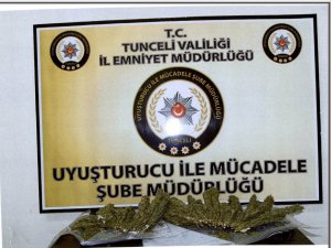 Yolcu otobüsünde esrar yakalandı