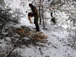 Yaban hayvanları için doğaya yem bırakıldı