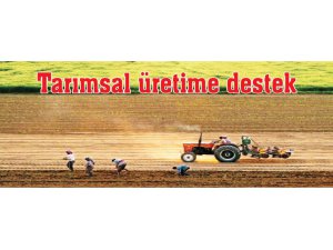 Dersim'de Üreticilere Sertifikalı Yem Bitkisi Tohumu Dağıtımı