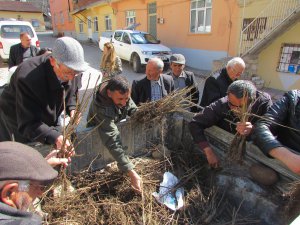 Hozat’ta vatandaşlara ceviz dağıtıldı