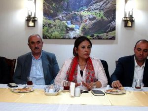 CHP'li Saniye Barut: Hükümet Freni Patlamış Kamyon Gibi