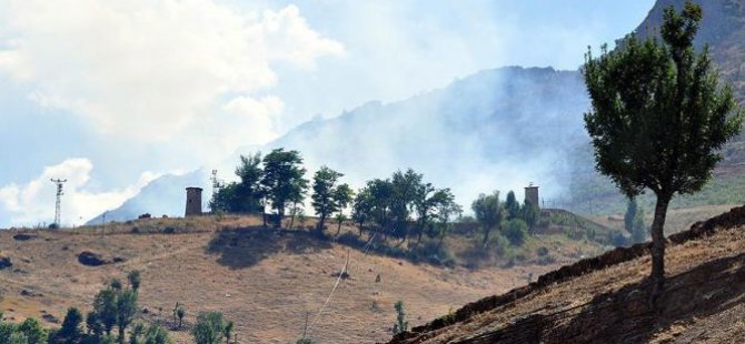 Gökçek Jandarma Karakolu'na ateş açıldı