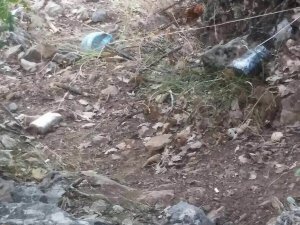Dersim’de operasyon