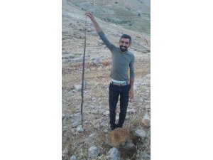 2 metre uzunluğunda yılan öldürüldü