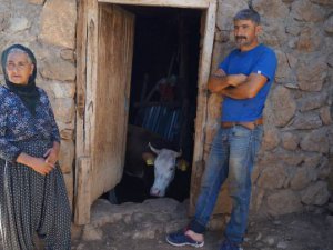 Dersim’de şarbon hastalığı tehlikesi