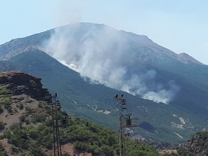 Tunceli Valiliği'nden yangın haberlerine ilişkin açıklama