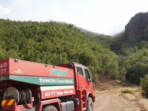 Tunceli Valiliği: Orman yangınları kontrol altına alındı
