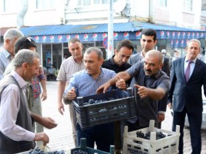 Vali Sonel, üzüm kasası taşıdı, çocuklara hediye verdi