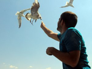 Keban Barajı üzerinde seyahat edip, martılara simit atıyorlar