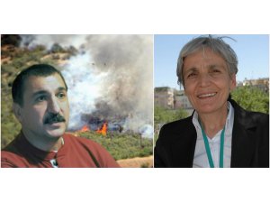 Ferhat Tunç'tan orman yangınlarına tepki: Şimdi harekete geçmenin zamanıdır